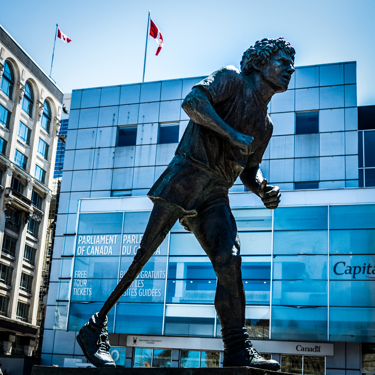 Terry Fox